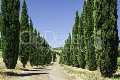 Roads in Tuscany