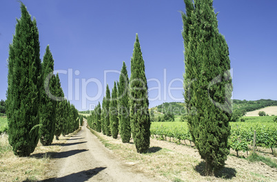 Roads in Tuscany