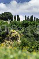 Tuscany landscape