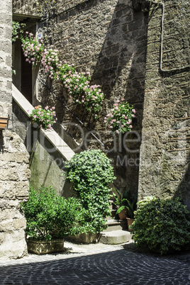 Traditional Italian homes