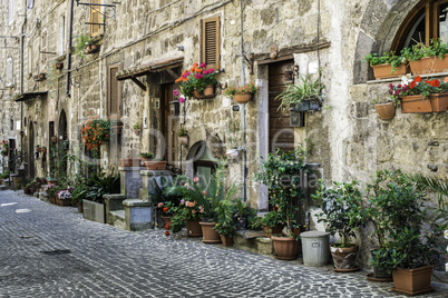 Traditional Italian homes