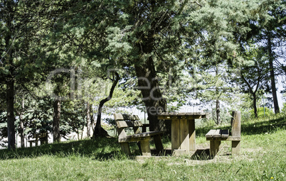 Wooden benches and a table in the woods
