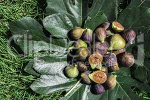 Figs on green leaf