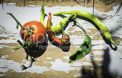 Vegetables, tomatoes and peppers in nature