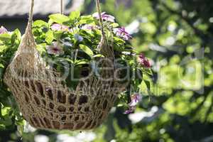 Flowers hanging pot