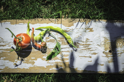 Vegetables, tomatoes and peppers in nature