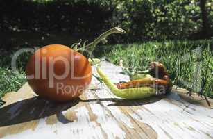 Vegetables, tomatoes and peppers in nature