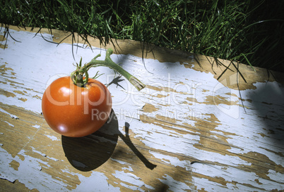 Tomato on wood