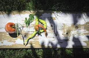 Vegetables, tomatoes and peppers in nature