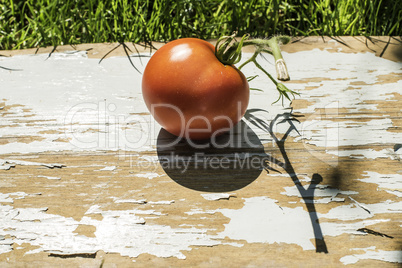 Tomato on wood