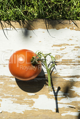 Tomato on wood