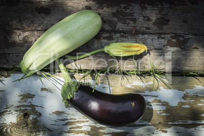 Zucchini and eggplant with blossom