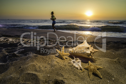 Sunrise on the beach. Shells