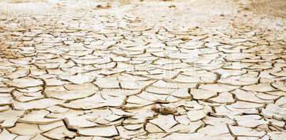 drought land