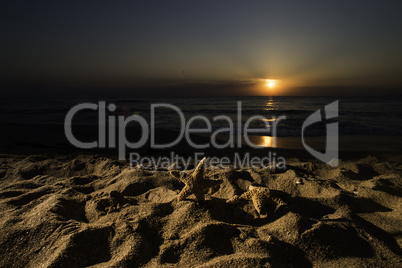 Sunrise on the beach. Shells