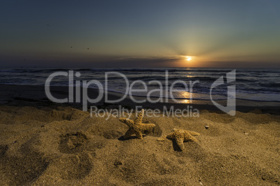 Sunrise on the beach. Shells