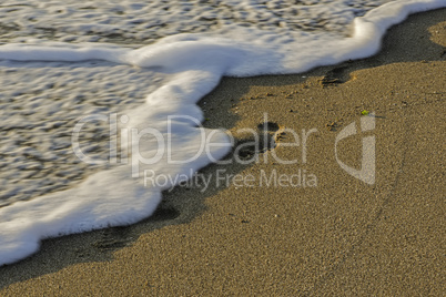 Food steps on the beach