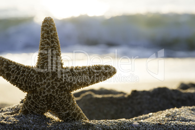 Sunrise on the beach.