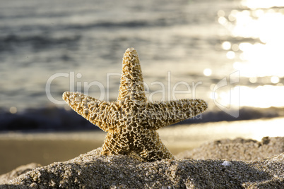 Sunrise on the beach.