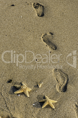 Food steps on the beach