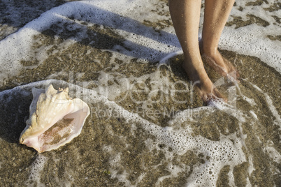 Shells on the beach. Foots in water