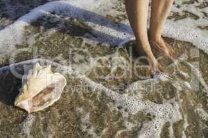 Shells on the beach. Foots in water