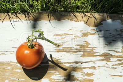 Tomato on wood