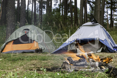 Tents in forest