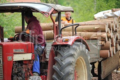 Traktor mit Brennholz