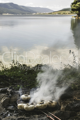 Mushrooms grilled on a coals in nature