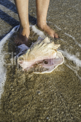 Shells on the beach. Foots in water