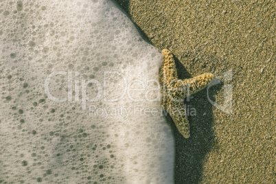 Starfish into the waves