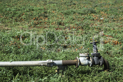 Irrigation pipe