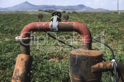 Irrigation pipe