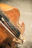 Contrabass on classical concert