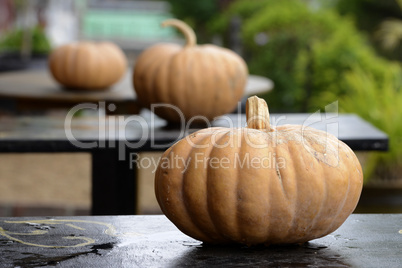 ASIA MYANMAR NYAUNGSHWE PUMPKINS