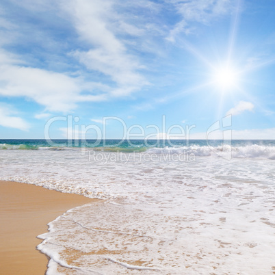 ocean, sandy beach and blue sky