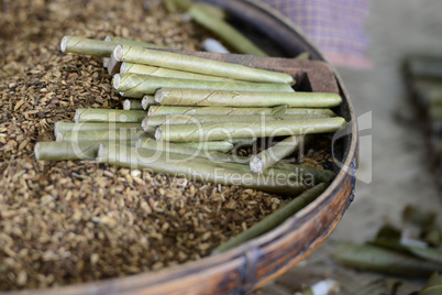 ASIA MYANMAR NYAUNGSHWE TABACCO FACTORY