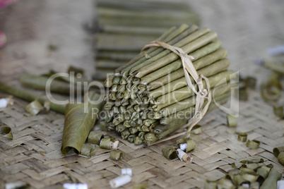 ASIA MYANMAR NYAUNGSHWE TABACCO FACTORY