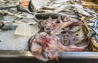 Fish on ice in the market