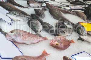 Fish on ice in the market