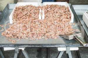 Shrimp on ice in the market