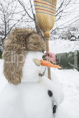 Snowman in the yard