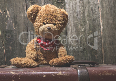 Vintage teddy Bear