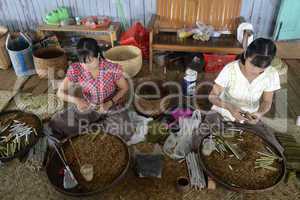 ASIA MYANMAR NYAUNGSHWE TABACCO FACTORY