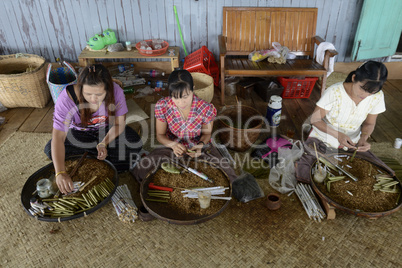 ASIA MYANMAR NYAUNGSHWE TABACCO FACTORY