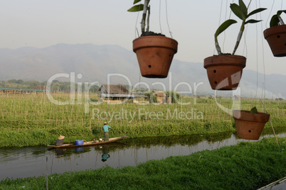 ASIA MYANMAR NYAUNGSHWE FLOATING GARDENS