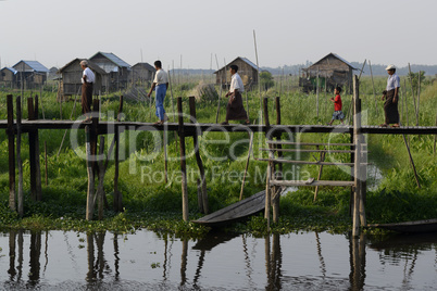 ASIA MYANMAR NYAUNGSHWE FLOATING GARDENS