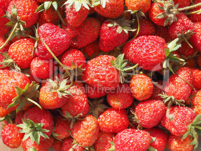 Strawberry fruit background