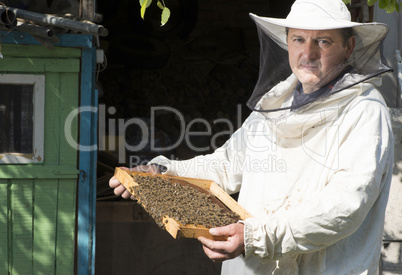 Beekeeper look honeycombs